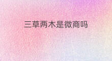 三草两木是微商吗 蔻心草是微商吗
