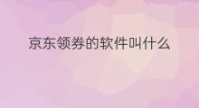 京东领券的软件叫什么 京东在哪领券