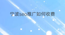 宁波seo推广如何收费 宁波seo推广哪好