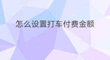 怎么设置打车付费金额 如何取消打车自动付费