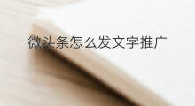 微头条怎么发文字推广 微头条如何发文字链接