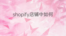shopify店铺中如何克隆 shopify店铺中head是什么