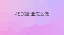 4500副业怎么做 2010副业赚钱吗