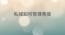 私域如何管理客服 什么私域客服