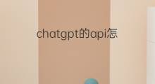 chatgpt的api怎么在手机上使用 chatgpt怎么在手机上使用