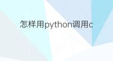 怎样用python调用chatgpt接口(chatgpt怎么用python调用)