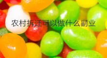 农村拆迁可以做什么副业 拆迁可以搞什么副业吗