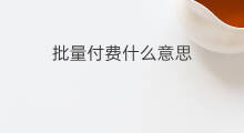 批量付费什么意思 付费什么意思