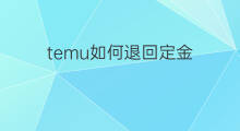 temu如何退回定金 快手定金怎样退回
