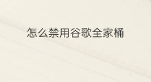 怎么禁用谷歌全家桶 快手全家桶在哪