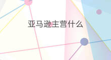亚马逊主营什么 快手主营什么产品