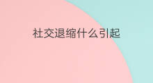 社交退缩什么引起 社交退缩与社交恐惧的区别