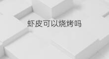 虾皮可以烧烤吗 烧烤可以当副业吗吗