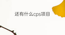 还有什么cps项目 cps项目都有什么
