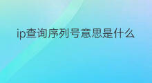 ip查询序列号意思是什么 ip查询序列号意思是啥