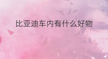 比亚迪车内有什么好物 车内放什么好物