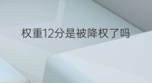 权重12分是被降权了吗 产品降权是降哪些权重的
