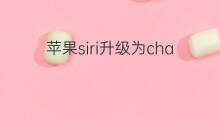 苹果siri升级为chatgpt可以吗(siri有可能升级为chatgpt吗)