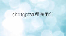 chatgpt编程序用什么语言 chatgpt编程序用什么语言打开