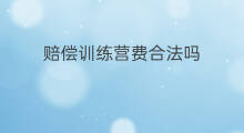 赔偿训练营费合法吗 黑马训练营合法吗
