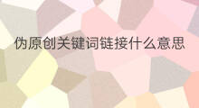 伪原创关键词链接什么意思 ppt关键词什么意思