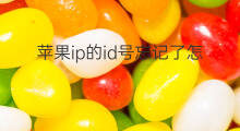 苹果ip的id号忘记了怎么办啊 联通ip号忘记了怎么办
