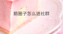 鹅圈子怎么进社群 鹅圈子怎么加入社群