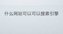 什么网站可以可以搜索引擎 网站标题可以搜索引擎吗