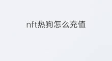 nft热狗怎么充值 热狗nft哪吒 nft热狗怎么充值 热狗nft哪吒