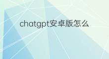 chatgpt安卓版怎么换中文 chatgpt安卓版中文