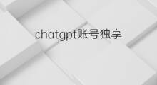 chatgpt账号独享(openai独享账号可靠吗)