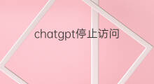chatgpt停止访问 shopify怎么停止跟踪访问