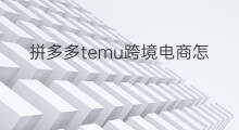 拼多多temu跨境电商怎么收费 拼多多跨境电商temu怎么发货