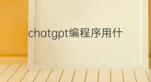 chatgpt编程序用什么语言打开(chatgpt编程序用什么语言)