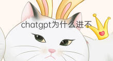 chatgpt为什么进不去(苹果快手为什么进不去)