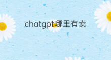 chatgpt哪里有卖 chatgpt哪里有卖的