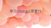 学习chatgpt需要什么基础(学习seo优化需要什么基础)