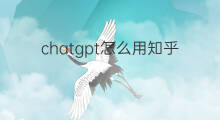 chatgpt怎么用知乎 知乎chatgpt怎么用
