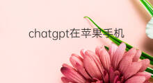 chatgpt在苹果手机上怎么用 手机上怎么用chatGPT