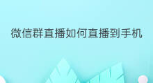 微信群直播如何直播到手机 手机微信群直播怎么放大