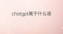chatgpt属于什么语言(chatgpt什么语言)
