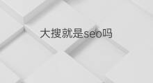 大搜就是seo吗 谷歌seo排名怎么搜