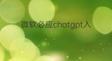 微软必应chatgpt入口(必应chatgpt入口)