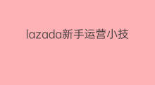 lazada新手运营小技巧 lazada店铺运营技巧