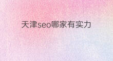 天津seo哪家有实力 广东seo哪家有实力