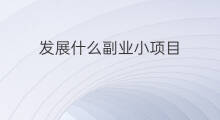 发展什么副业小项目 副业小项目做什么好