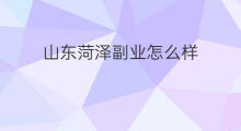 山东菏泽副业怎么样 山东菏泽有没有快手公司
