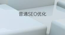 普通SEO优化 seo优化seo优化