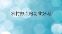 农村做点啥副业好呢 农村在家做什么副业好呢