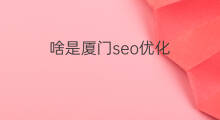 啥是厦门seo优化 厦门seo优化方案